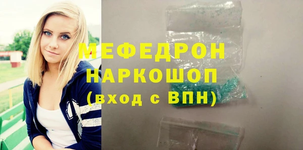 spice Инта