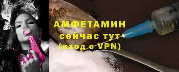 прущие грибы Инсар