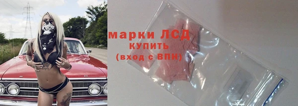 spice Инта