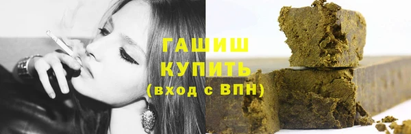 spice Инта