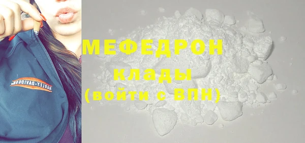 spice Инта