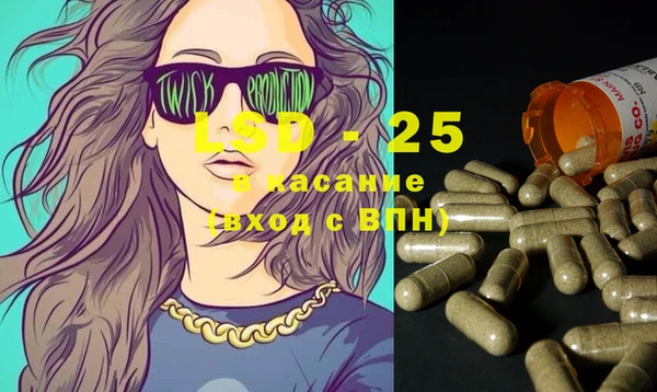 spice Инта