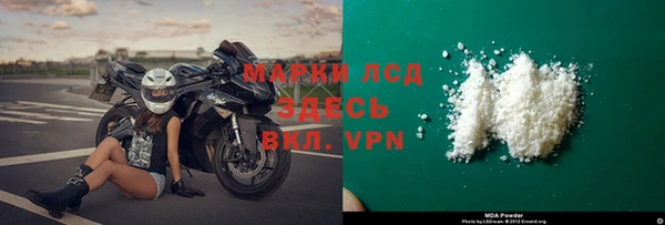 прущие грибы Инсар