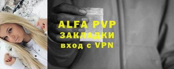 прущие грибы Инсар
