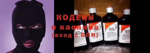 прущие грибы Инсар