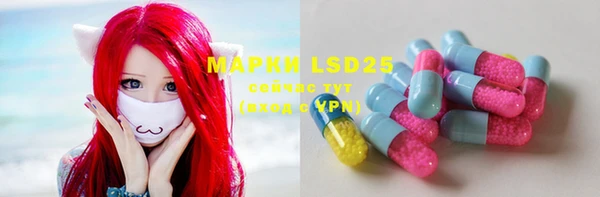 spice Инта
