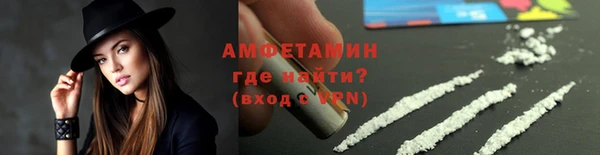 прущие грибы Инсар