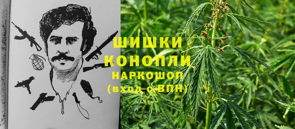 спиды Иннополис