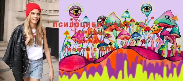 спиды Иннополис