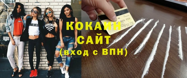 spice Инта