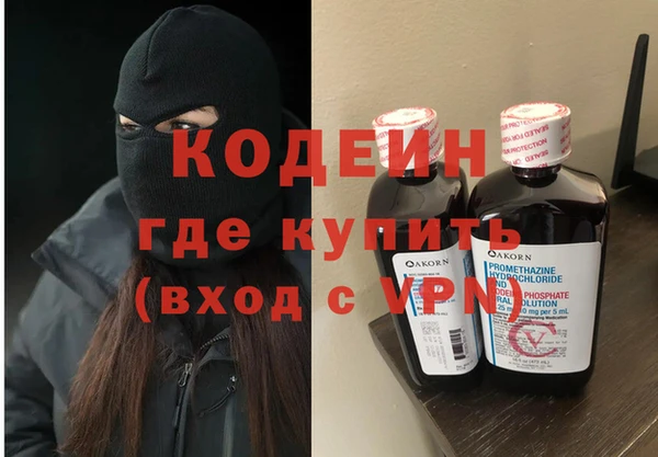 spice Инта