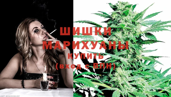 спиды Иннополис