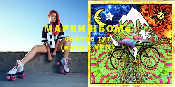 spice Инта