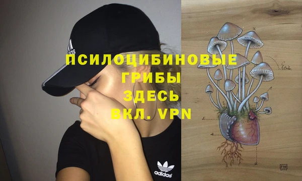 прущие грибы Инсар