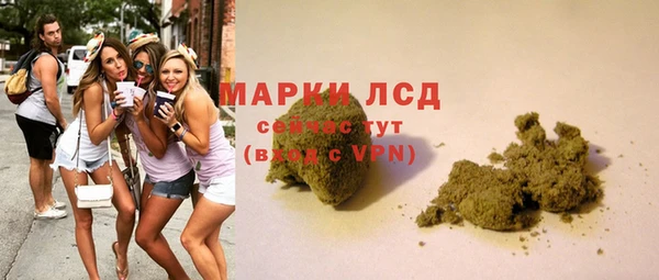 spice Инта