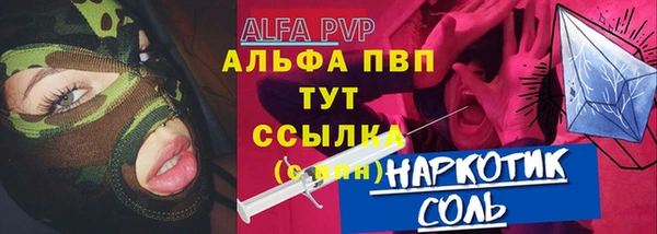 spice Инта