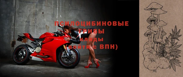 spice Инта